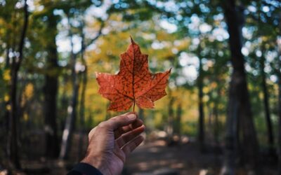 A Voice For Canada