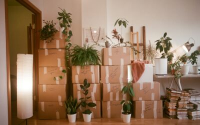 Our Stuff