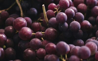 A Timely Grape